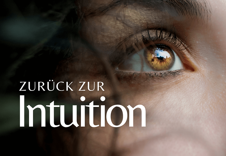 Zurück zur Intuition